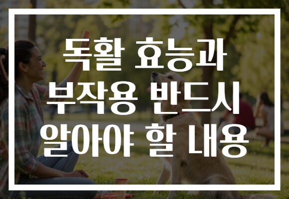 독활 효능과 부작용 반드시 알아야 할 내용