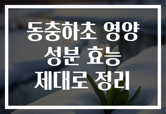 동충하초 영양 성분 효능 제대로 정리