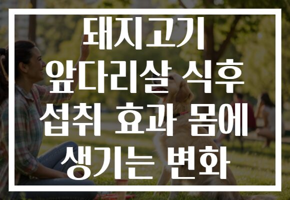돼지고기 앞다리살 식후 섭취 효과 몸에 생기는 변화 돼지고기 앞다리살 식후 섭취 효과 몸에 생기는 변화