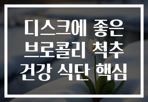 디스크에 좋은 브로콜리 척추 건강 식단 핵심