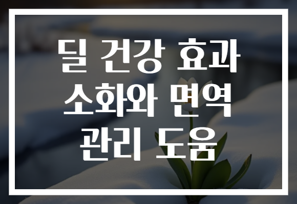 딜 건강 효과 소화와 면역 관리 도움