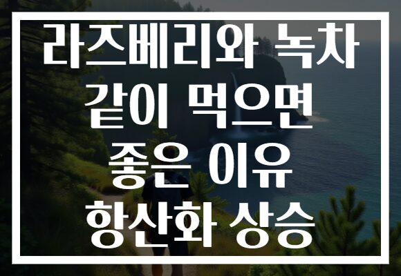 라즈베리와 녹차 같이 먹으면 좋은 이유 항산화 상승