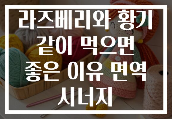 라즈베리와 황기 같이 먹으면 좋은 이유 면역 시너지