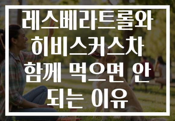 레스베라트롤와 히비스커스차 함께 먹으면 안 되는 이유
