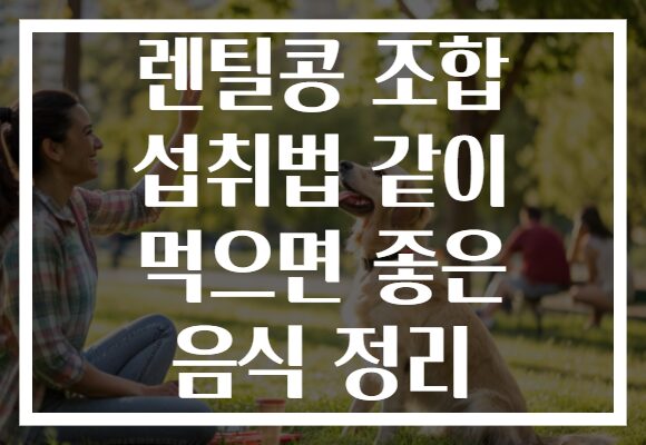 렌틸콩 조합 섭취법 같이 먹으면 좋은 음식 정리