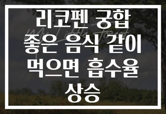 리코펜 궁합 좋은 음식 같이 먹으면 흡수율 상승
