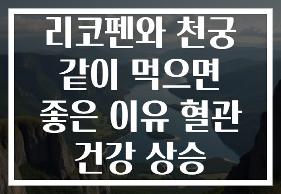 리코펜와 천궁 같이 먹으면 좋은 이유 혈관 건강 상승