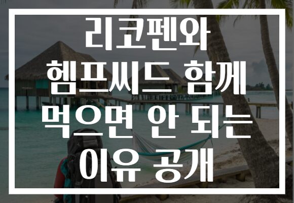 리코펜와 헴프씨드 함께 먹으면 안 되는 이유 공개