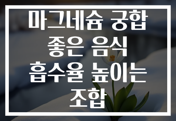 마그네슘 궁합 좋은 음식 흡수율 높이는 조합