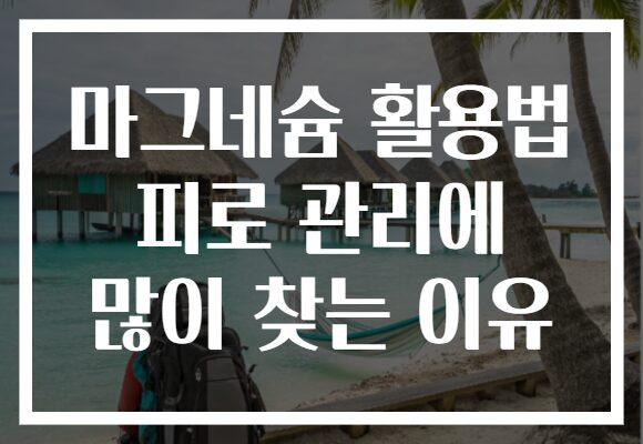마그네슘 활용법 피로 관리에 많이 찾는 이유