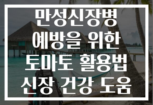 만성신장병 예방을 위한 토마토 활용법 신장 건강 도움