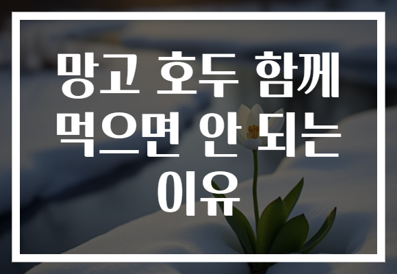 망고 호두 함께 먹으면 안 되는 이유