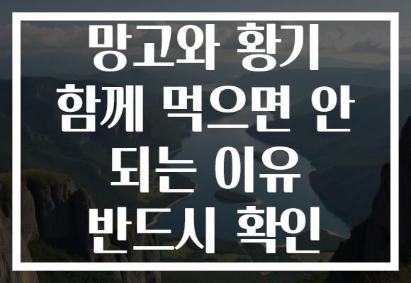 망고와 황기 함께 먹으면 안 되는 이유 반드시 확인