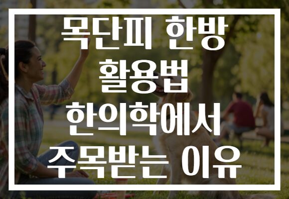목단피 한방 활용법 한의학에서 주목받는 이유