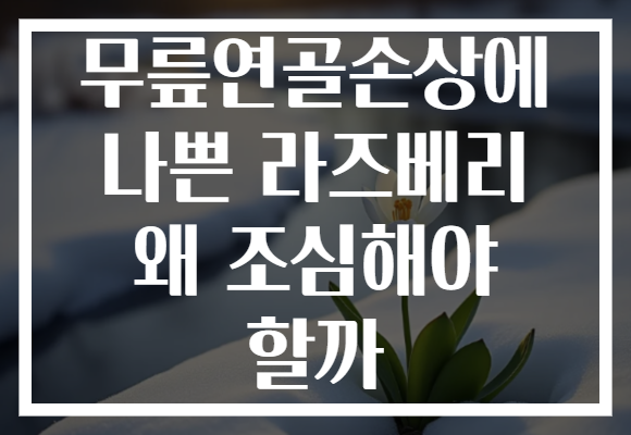 무릎연골손상에 나쁜 라즈베리 왜 조심해야 할까 무릎연골손상에 나쁜 라즈베리 왜 조심해야 할까