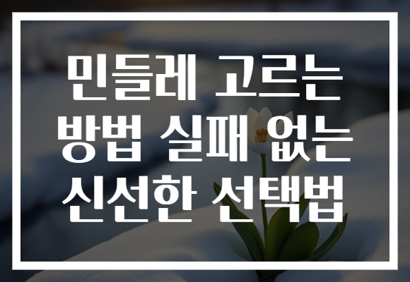 민들레 고르는 방법 실패 없는 신선한 선택법