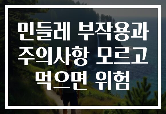 민들레 부작용과 주의사항 모르고 먹으면 위험 민들레 부작용과 주의사항 모르고 먹으면 위험