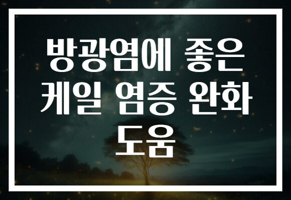 방광염에 좋은 케일 염증 완화 도움
