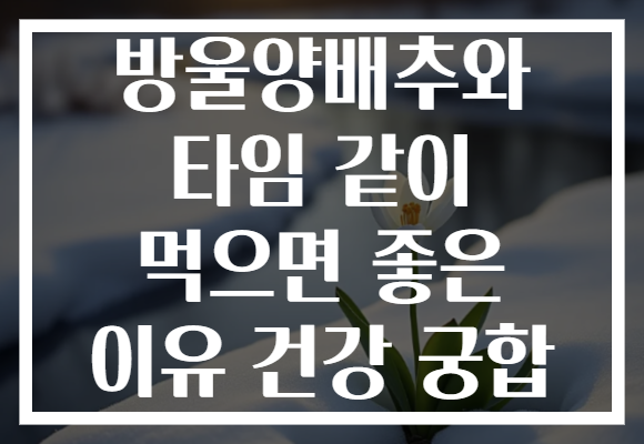 방울양배추와 타임 같이 먹으면 좋은 이유 건강 궁합