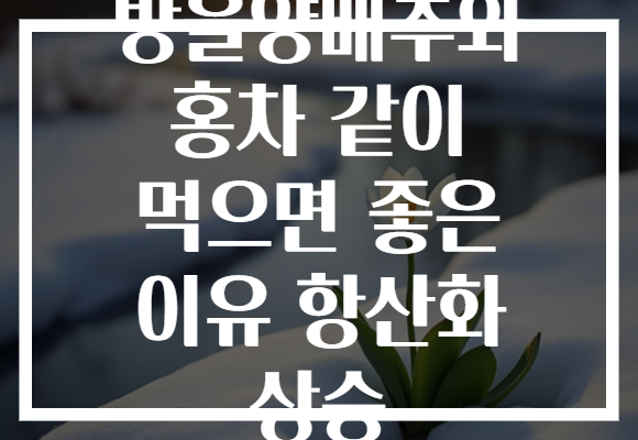 방울양배추와 홍차 같이 먹으면 좋은 이유 항산화 상승