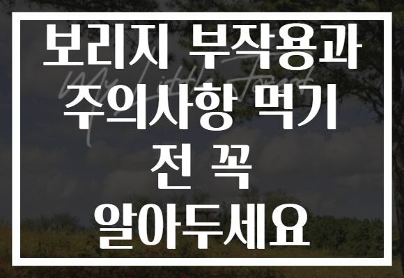 보리지 부작용과 주의사항 먹기 전 꼭 알아두세요 보리지 부작용과 주의사항 먹기 전 꼭 알아두세요