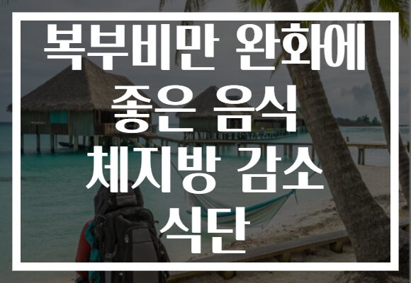 복부비만 완화에 좋은 음식 체지방 감소 식단