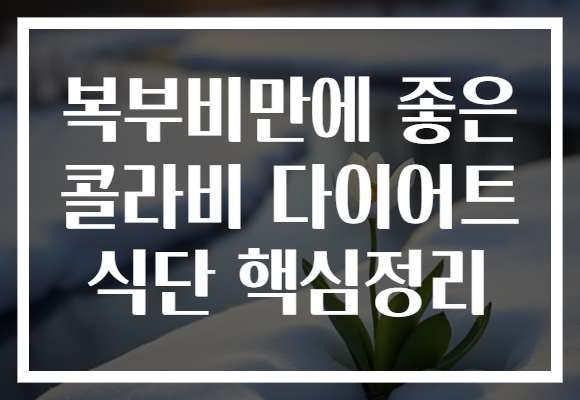 복부비만에 좋은 콜라비 다이어트 식단 핵심정리 복부비만에 좋은 콜라비 다이어트 식단 핵심정리