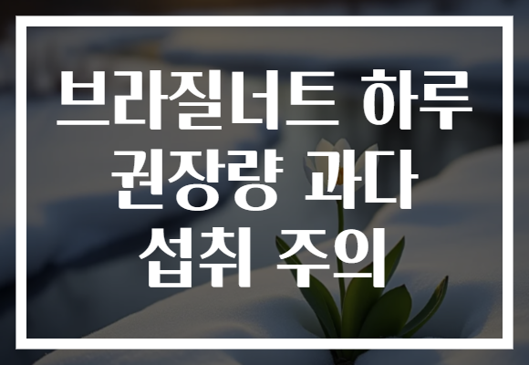 브라질너트 하루 권장량 과다 섭취 주의