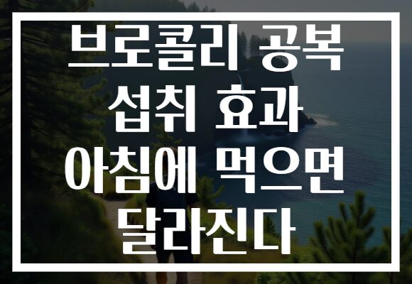 브로콜리 공복 섭취 효과 아침에 먹으면 달라진다
