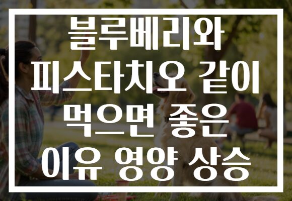 블루베리와 피스타치오 같이 먹으면 좋은 이유 영양 상승
