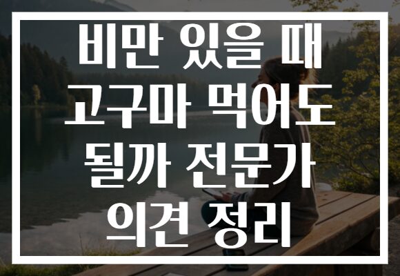 비만 있을 때 고구마 먹어도 될까 전문가 의견 정리