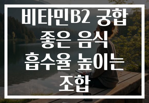 비타민B2 궁합 좋은 음식 흡수율 높이는 조합