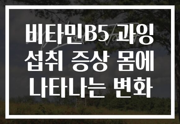 비타민B5 과잉 섭취 증상 몸에 나타나는 변화 비타민B5 과잉 섭취 증상 몸에 나타나는 변화