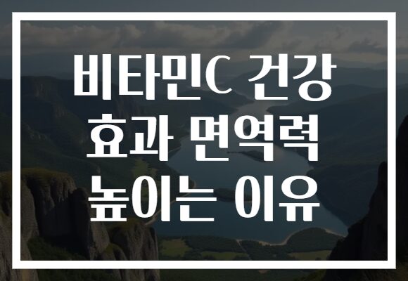 비타민C 건강 효과 면역력 높이는 이유