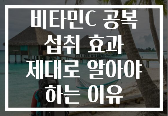 비타민C 공복 섭취 효과 제대로 알아야 하는 이유