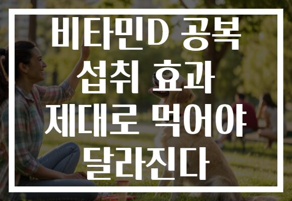 비타민D 공복 섭취 효과 제대로 먹어야 달라진다 비타민D 공복 섭취 효과 제대로 먹어야 달라진다
