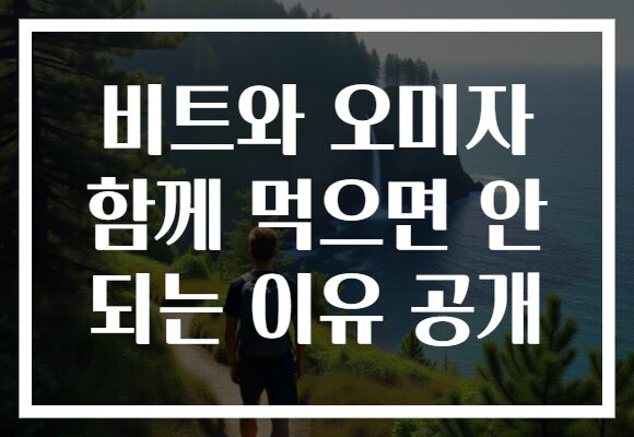 비트와 오미자 함께 먹으면 안 되는 이유 공개 비트와 오미자 함께 먹으면 안 되는 이유 공개
