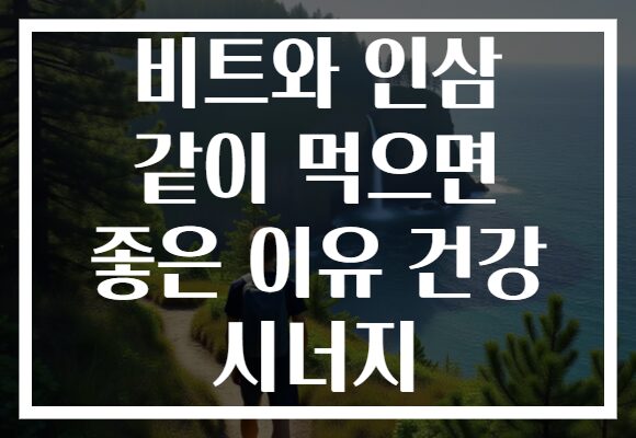 비트와 인삼 같이 먹으면 좋은 이유 건강 시너지