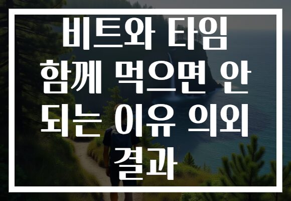 비트와 타임 함께 먹으면 안 되는 이유 의외 결과