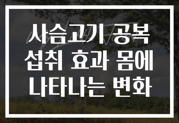 사슴고기 공복 섭취 효과 몸에 나타나는 변화