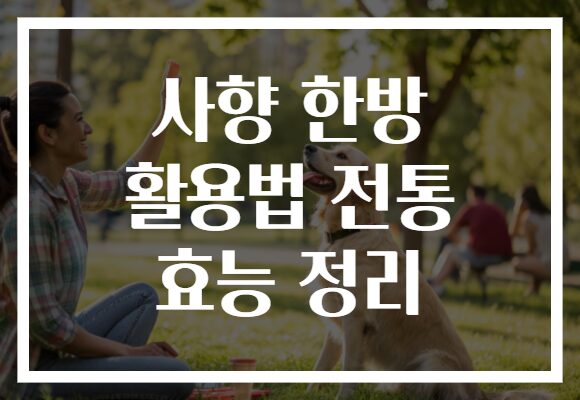 사향 한방 활용법 전통 효능 정리