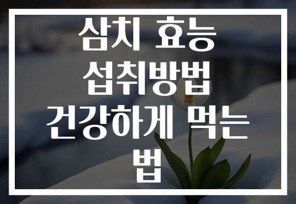 삼치 효능 섭취방법 건강하게 먹는 법