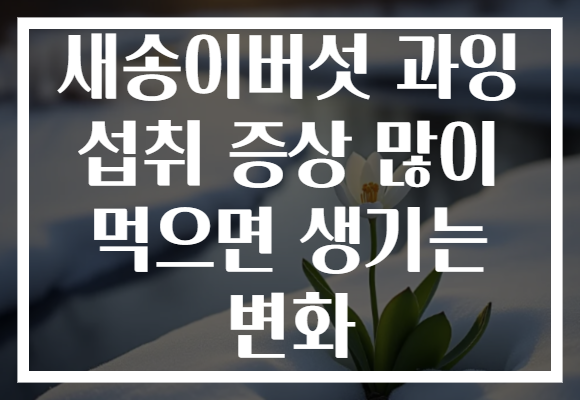 새송이버섯 과잉 섭취 증상 많이 먹으면 생기는 변화