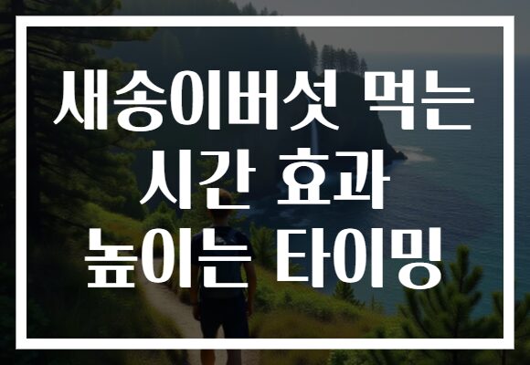 새송이버섯 먹는 시간 효과 높이는 타이밍