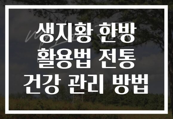 생지황 한방 활용법 전통 건강 관리 방법