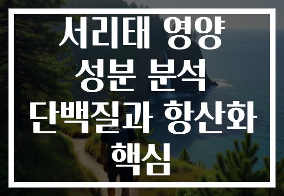 서리태 영양 성분 분석 단백질과 항산화 핵심 서리태 영양 성분 분석 단백질과 항산화 핵심