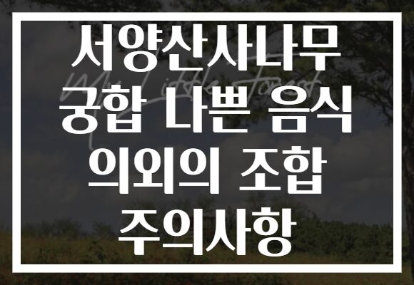 서양산사나무 궁합 나쁜 음식 의외의 조합 주의사항
