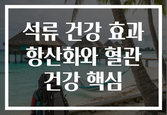 석류 건강 효과 항산화와 혈관 건강 핵심