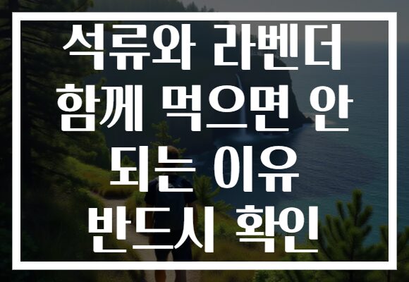 석류와 라벤더 함께 먹으면 안 되는 이유 반드시 확인