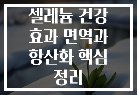 셀레늄 건강 효과 면역과 항산화 핵심 정리